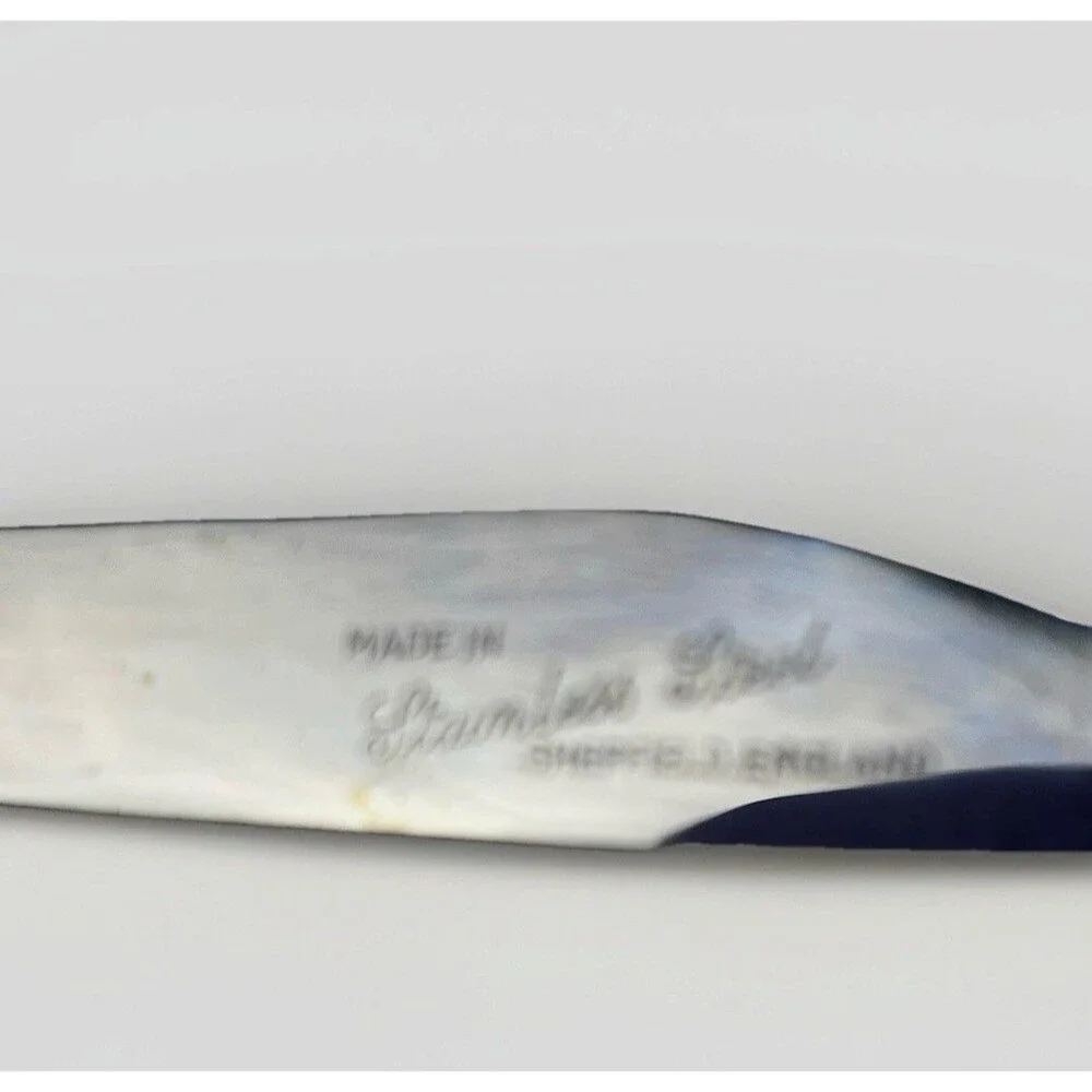 VTG Sheffield England Stainless Steel Cheese Knife Porcelain Handle Green Floral